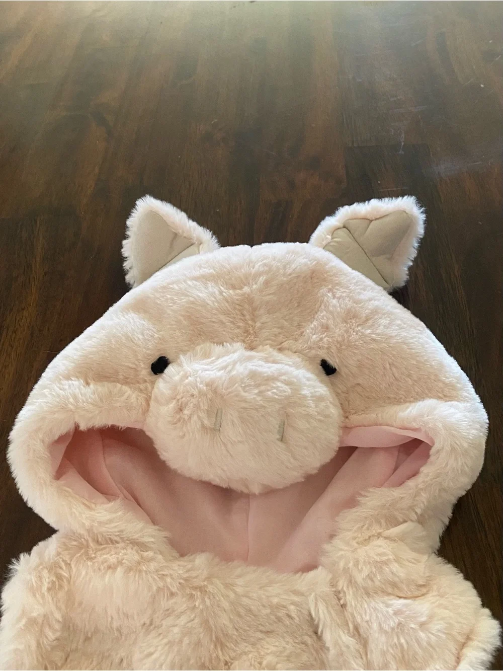 Pottery Barn Kids Pink Blush Baby Pig Costume - Picture 3 of 7